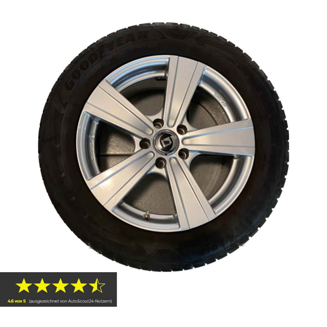 Audi A6 Winterräder (Kompletträder) 17 Zoll (225/60R17) GoodYear